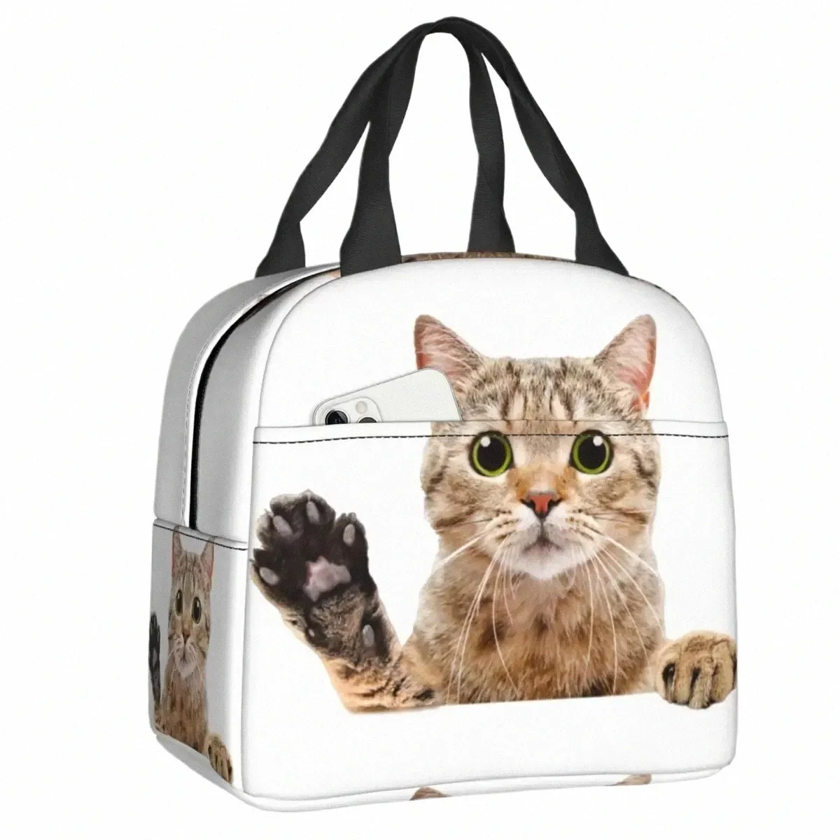 Niedliche schottische Katze späht Lunchtasche, auslaufsicher, Picknick, isoliert, warm, Kühler, Thermo-Lunchbox für Frauen und Kinder, Tragetasche v7Hb #