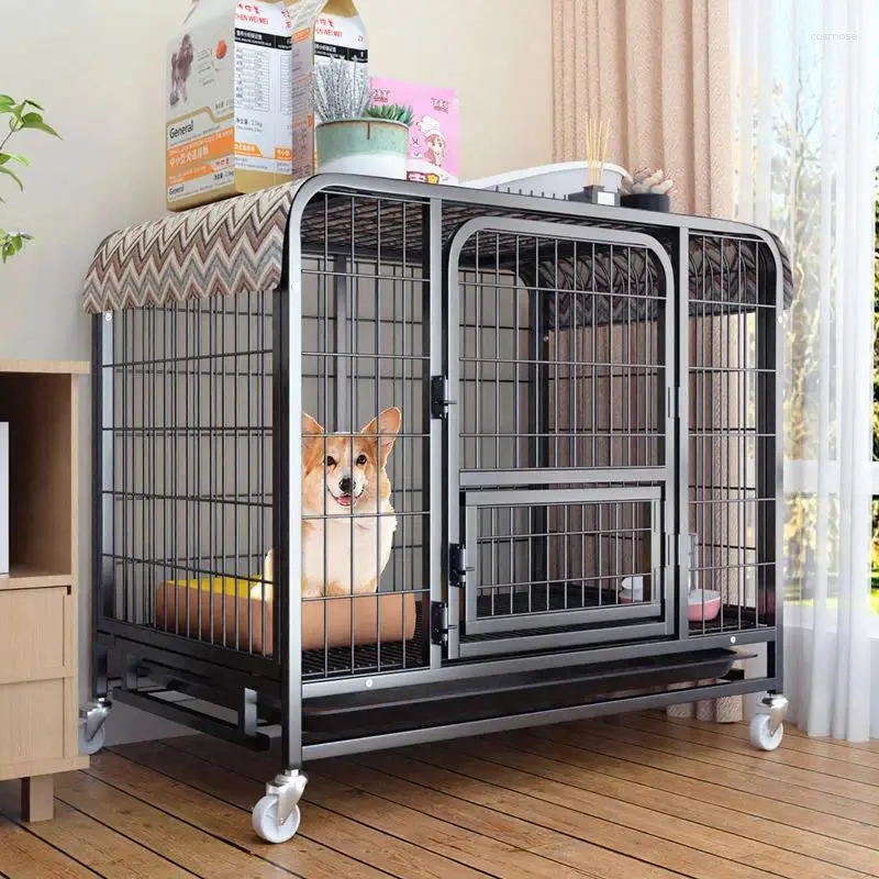 Cage de transport pour chat et chien, petit paquet d'intérieur en peluche avec toilettes, cheveux dorés moyens et grands