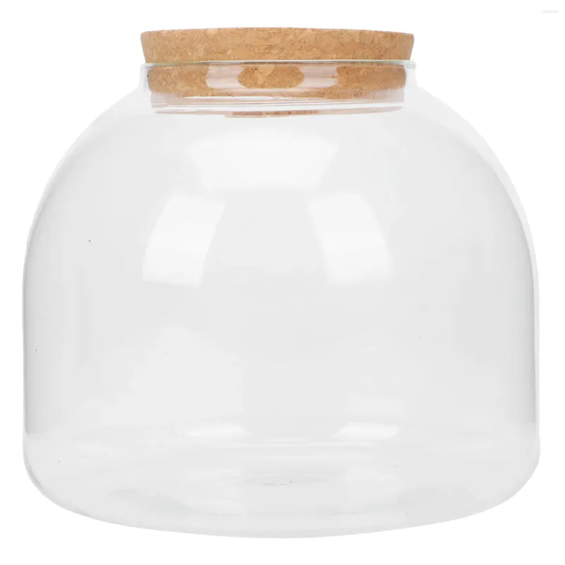 花瓶マイクロランドスケープエコロジーボトルクラフトライト付きマイクロランドスケープホルダーガラスキャニスター透明な木製