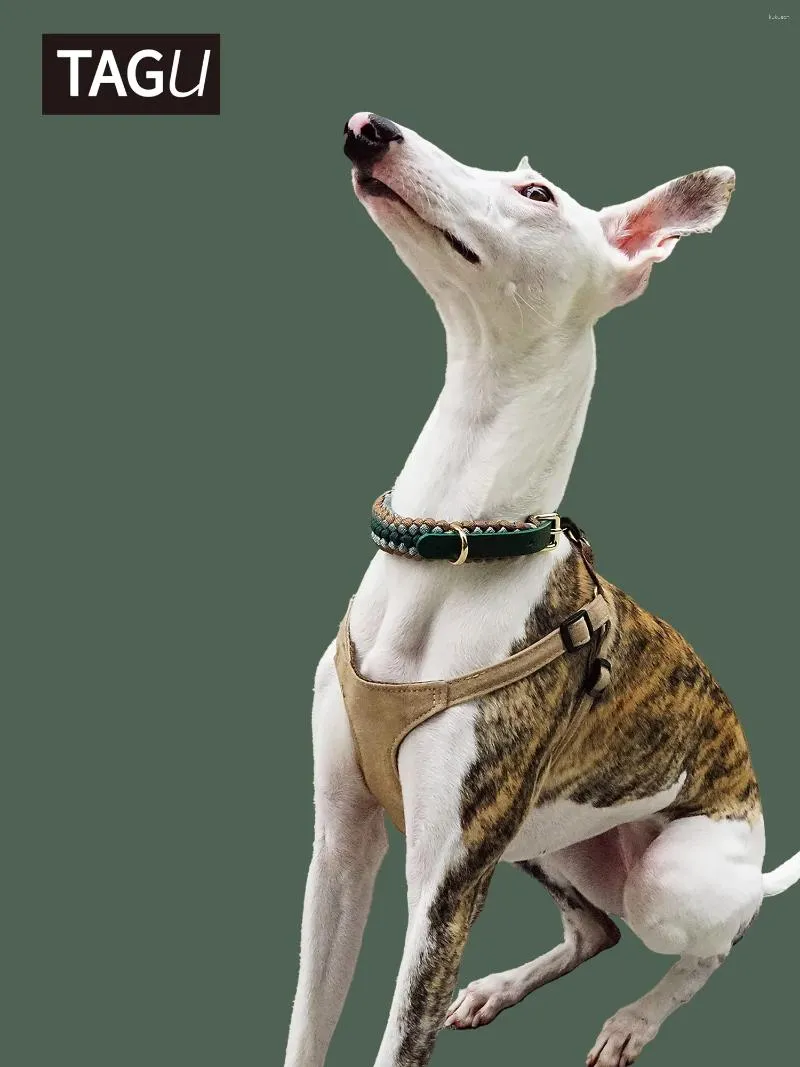 Collier en cuir de chien étiqueté accessoires pour animaux de compagnie tressés à la main