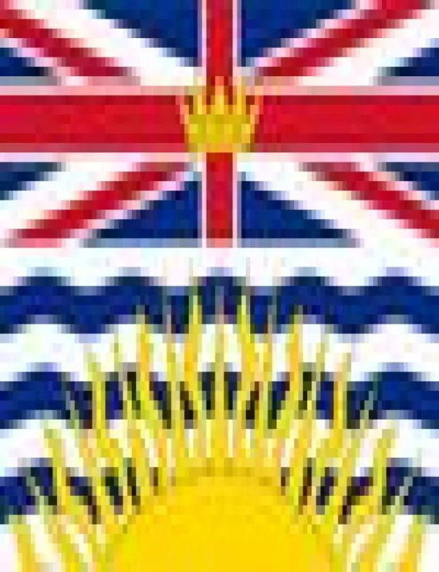Canada Drapeau de British 3ft x 5ft Polyester Banner Flying 150 * 90cm Flag personnalisé Outdoor9510347