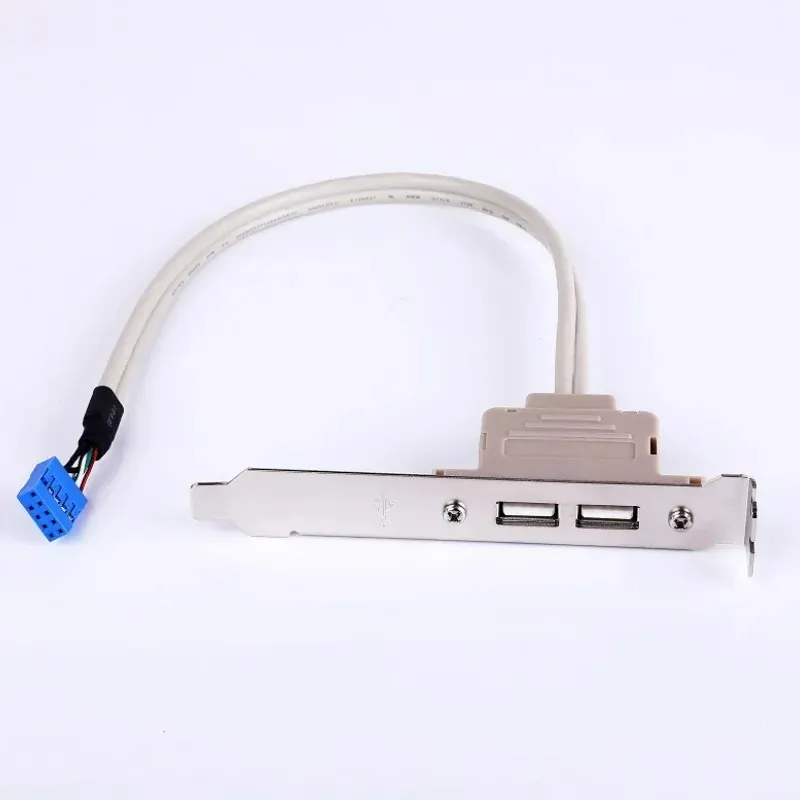 1 st nyaste hög Qulity Double Port USB bakre moderkort Förlängningssladd skrivbord PC -fodral PCI USB 2.0 Baffeltråd