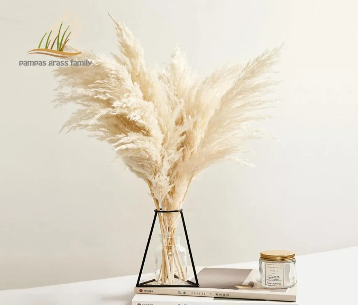 Pampas Grass Decor White Color Fluffy Natural Dried Flowers Bleached Bouquet Boho Vintage Style for Wedding Home Christmas Decor 28812674