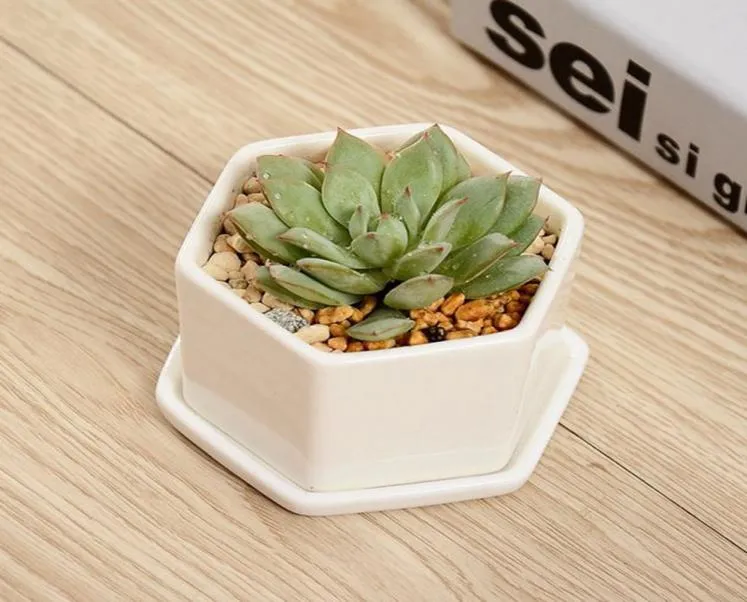 Os bonsai de cerâmica Pots Mini Mini Fornecedores de Flor Ponto de Porcelana Branca Para Semear Plantadores de Nursery Home Indoor DBC BH489222242