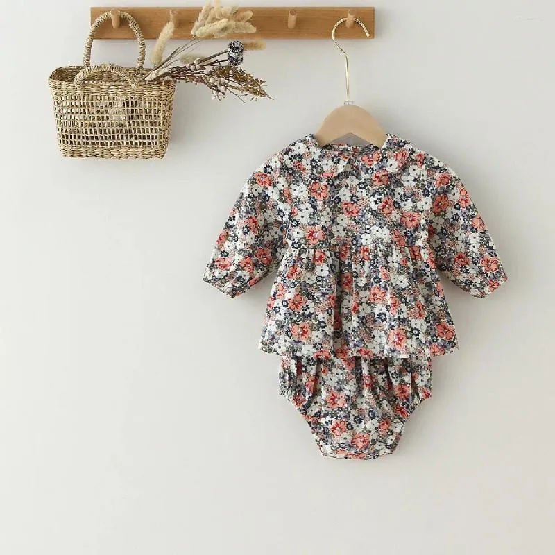 Kleding sets 2 pc's babymeisjes kleren set bloemenjurk bloeier geboren peuter outfits baby