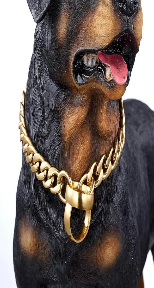Metalowy stal nierdzewna złoto Łańcuch pies Choker Sacid Stalend Custom Show Kllar Pet Dogs Regulowane bezpieczeństwo 6189176