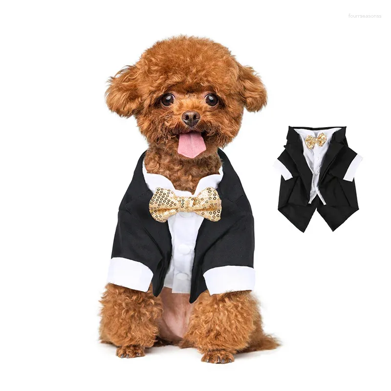 Vêtements pour chiens beaux vestes de costume de fête de chat