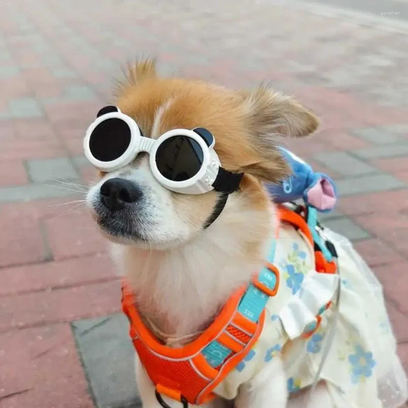 Vêtements pour chiens 1 paire Lunettes de compagnie UV Lunettes de soleil STOCKES RÉGLABLES VENTS PHICT