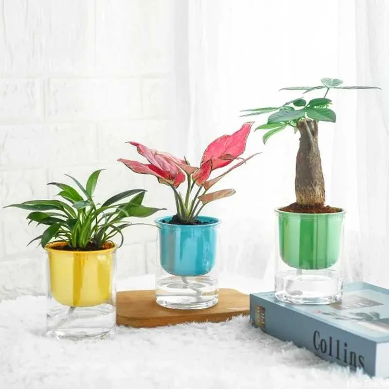 Piantatrici vasi trasparenti a doppio strato fiore pentola di plastica idroponica piante in vaso autoiringio in vaso fioriera in vaso domestico decorazione desktop