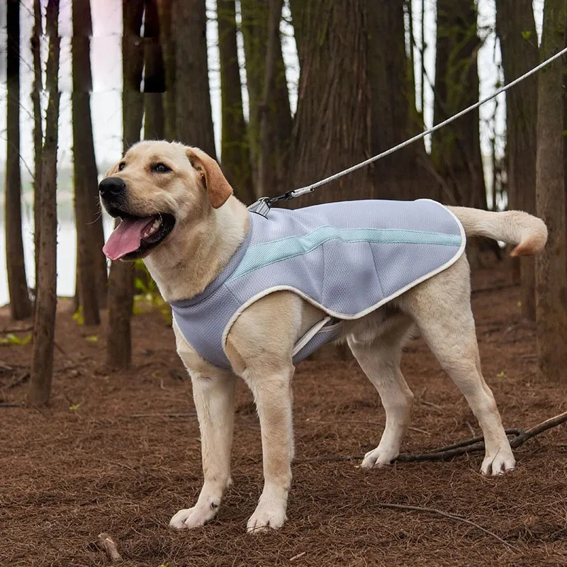 Hunde Sommerkühlung Weste Kabelbaum Schnelltrockne Haustierkleidung Reflektierende Mantel Coole Jacke für kleine mittelgroße Hunde Katzen Haustierkleidung 240422