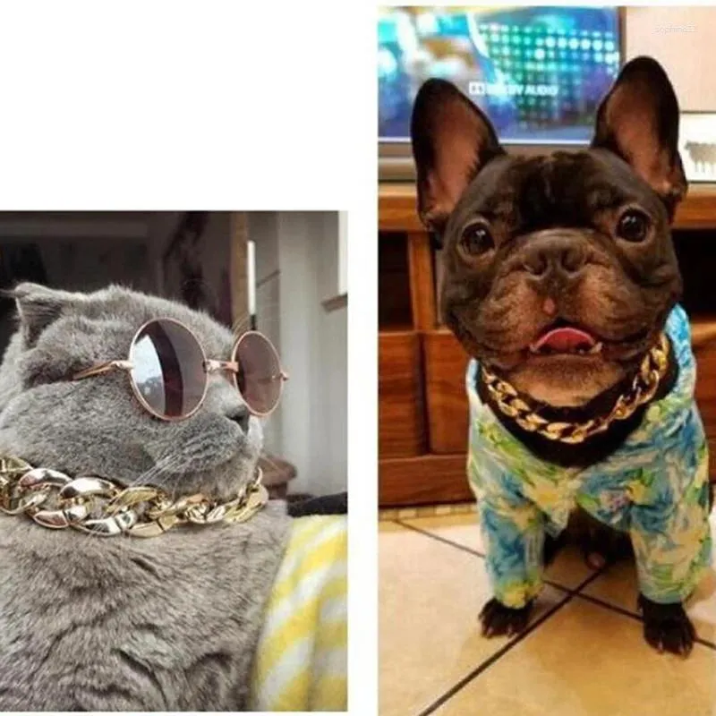 Abbigliamento per cani da 1 pc collana a catena gatto regolabile in oro per accessori per animali domestici per gatti