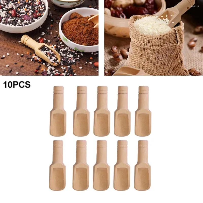 Cuillères 10pcs mini-salières en bois en bois scoops de café assaisonnement