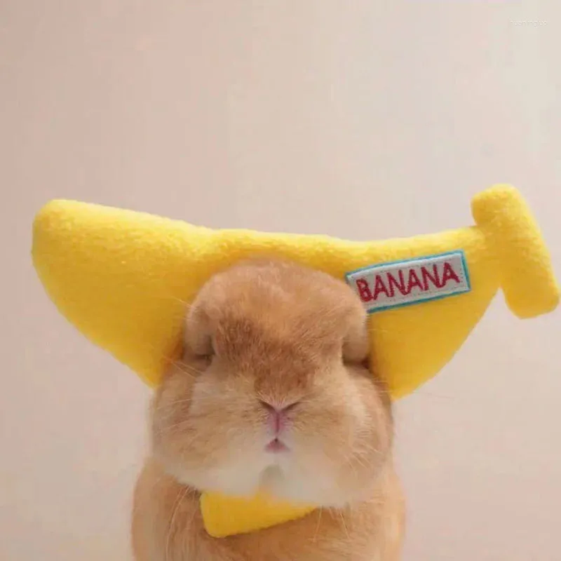 Dog Abbigliamento Pet Funny Banana Hat Cat Cuppy O Teddy S Props