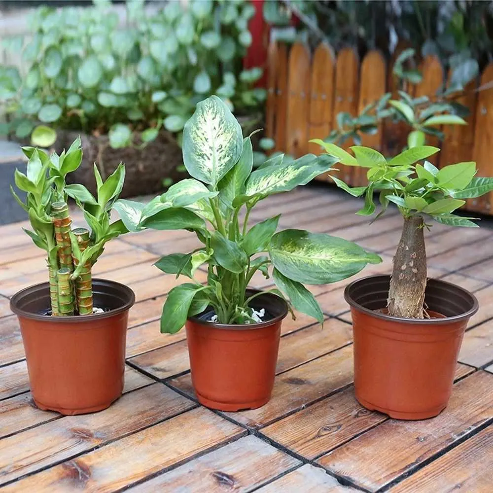 Planters potten 10 stks mini kleine bloempot met gaten kweek doos herfstbestendige lade voor huizentuinplant kinderkamer pot groenten transplantatie