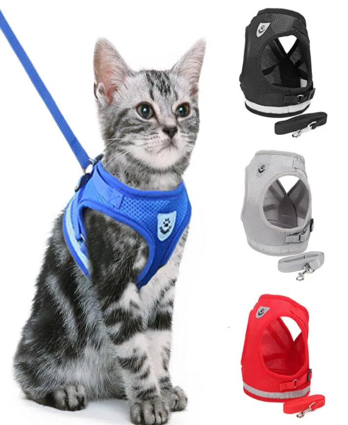 kragen kattenhond verstelbare kabelboom Vest Walking Lease aan de leiband voor puppy kraag polyester kleine middelgrote accessoires ketting7376018