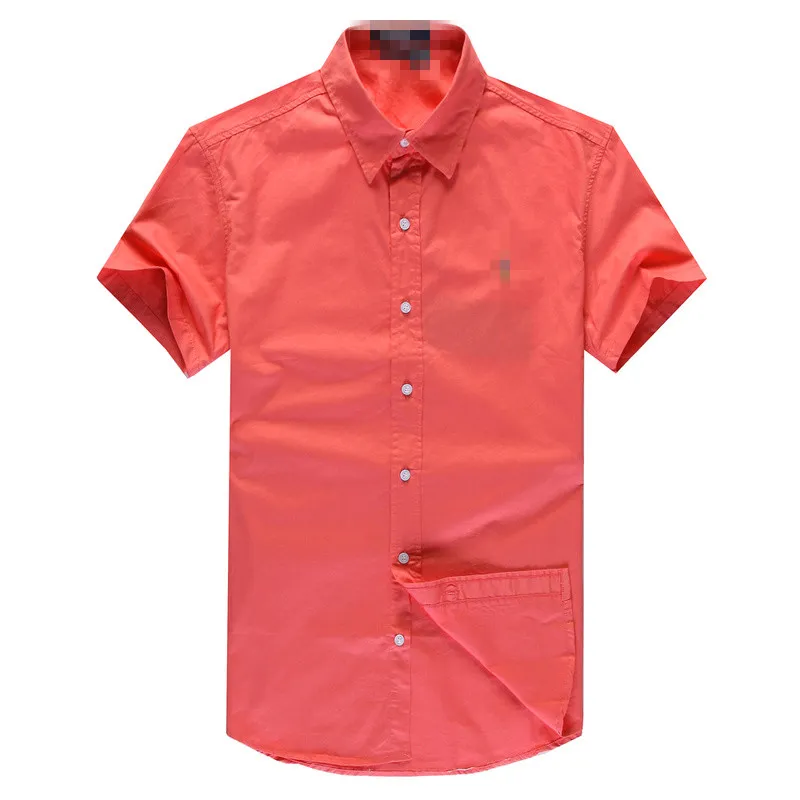 Chemise de mode masculine couleur poney à manches courtes brodées colorée t-shirt de cheval coloré
