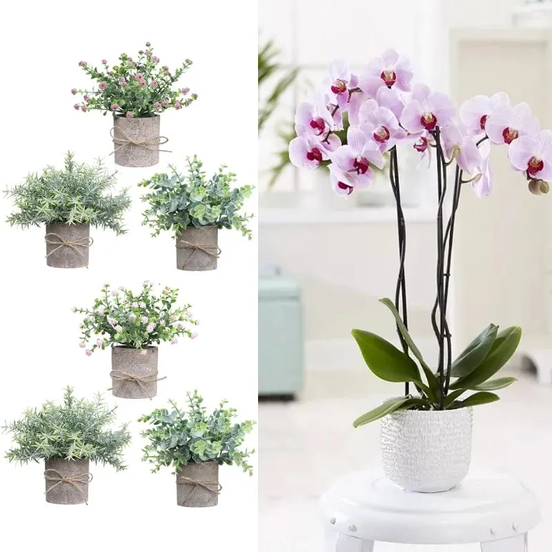 Dekorative Blumen 3Pack/Los künstliches Bonsai -Set imitieren frostige graue Blätter mit hoher Simulation Blumenpot wird hergestellt