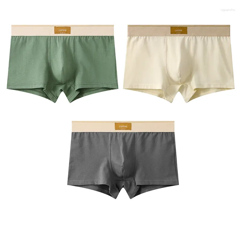 Underpants 3pcs MENS MEN COTON in cotone traspirante slip da pugile da uomo Shorts mutandine mutandine maschile per uomini