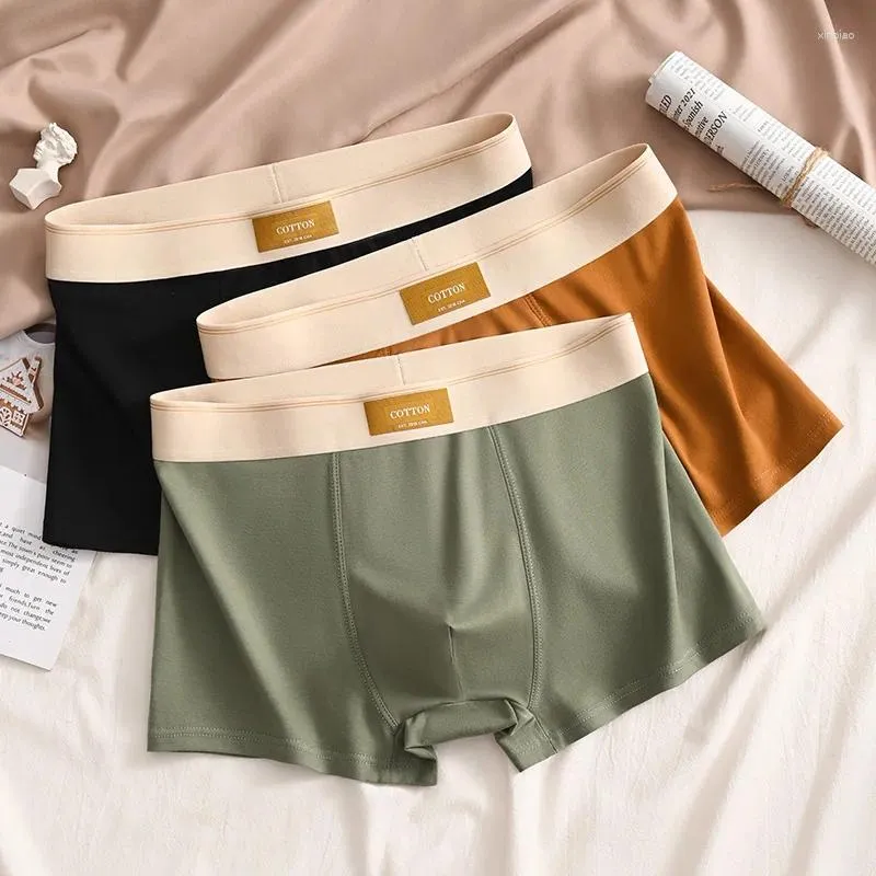 Boxer shorts in spanish online