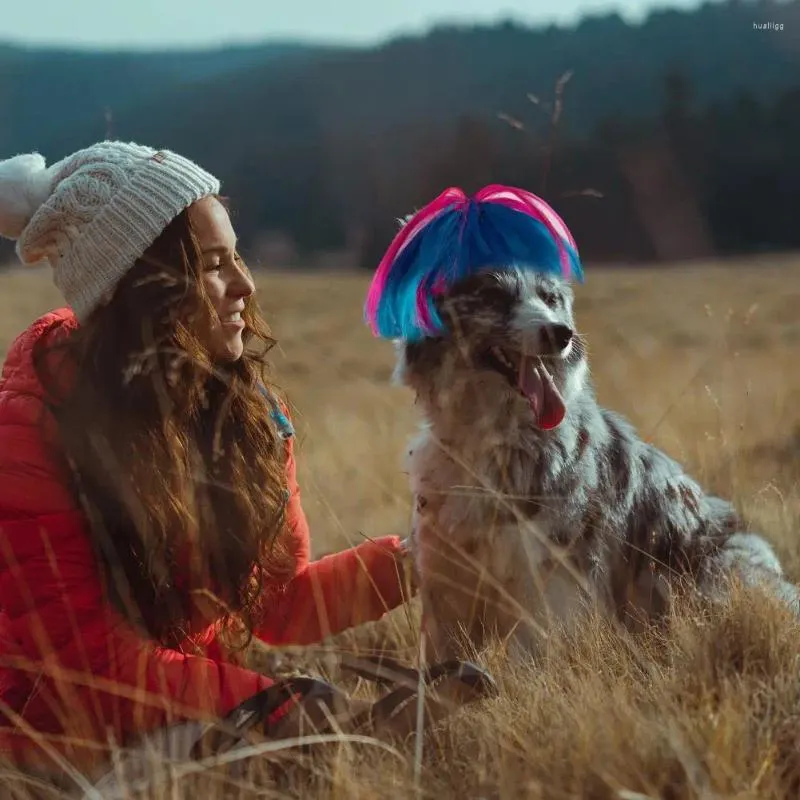 Одежда для собак регулируемое парик Хэллоуин привлекает внимание домашних животных для фестивалей, мытье многоразовое смешное смешное