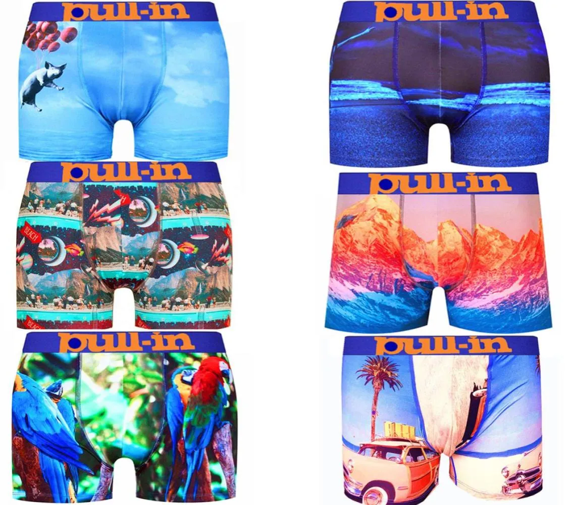 Pullin Brand Beach Unterwäsche Frankreich Pullin Men Boxer Shorts Sexy 3D -Druck Erwachsene Ziehen Sie die Unterhose ein 100 Quick Dry8751979