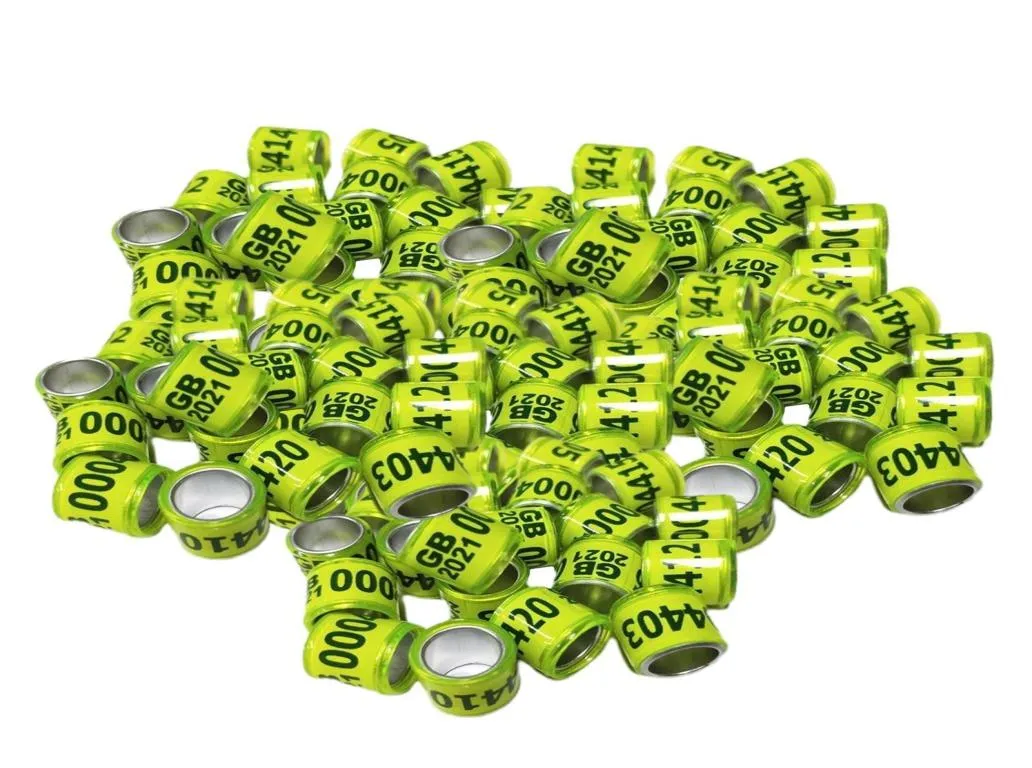 100pcs 2021 alumínio pomba para pombos de pombos rings de pombo -laps numerados diff qylgbd dh20109727832