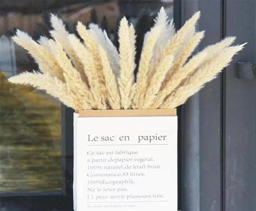 50 pezzi secchi piccoli pampas canne anneeds fiori pantal artificiale decorazione vera piante decorazioni per la casa decorazione per matrimoni298c253b2041380