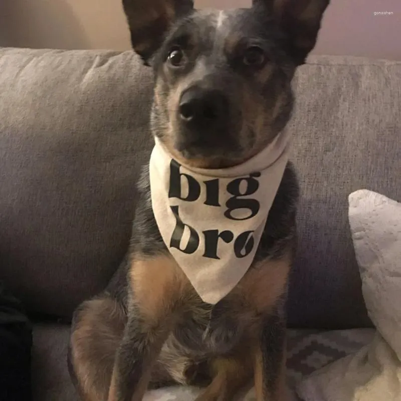 Vêtements de chien Custom Big Bro Bandana frère Annonce de grossesse bébé pos minimaliste Minimal Minimal Style Simple Flove Cream