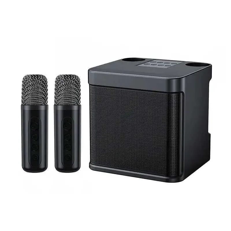 Draagbare luidsprekers 10W High-Power Wireless Portable Microfoon Bluetooth Sound Outdoor Home Party Karaoke Subwoofer Boom Box Dual Microphones J240505