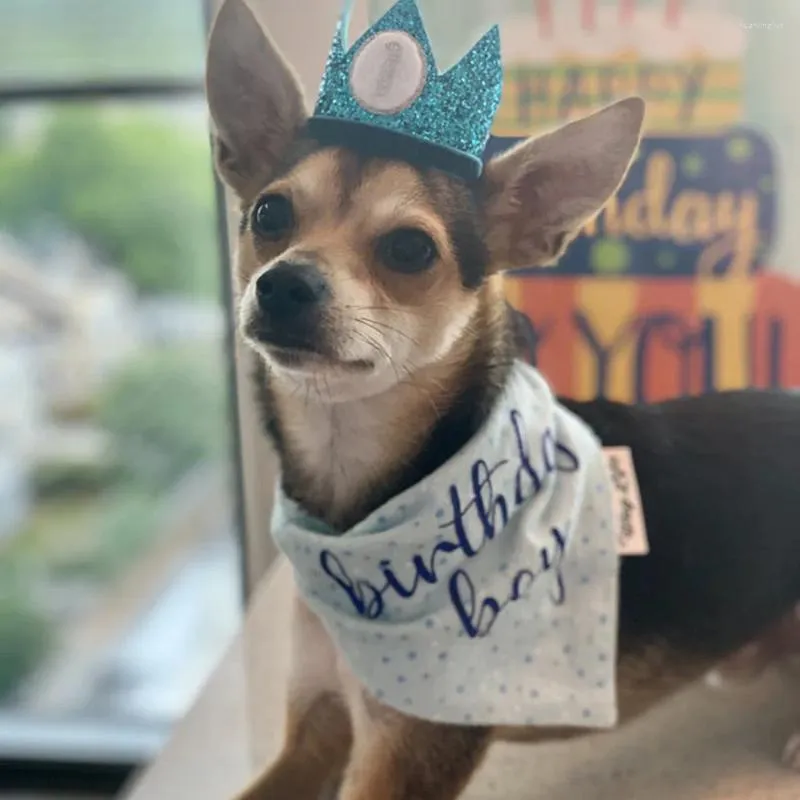 Dog Apparel Birthday Birthday Bandana Presente para Boy Mom Mã