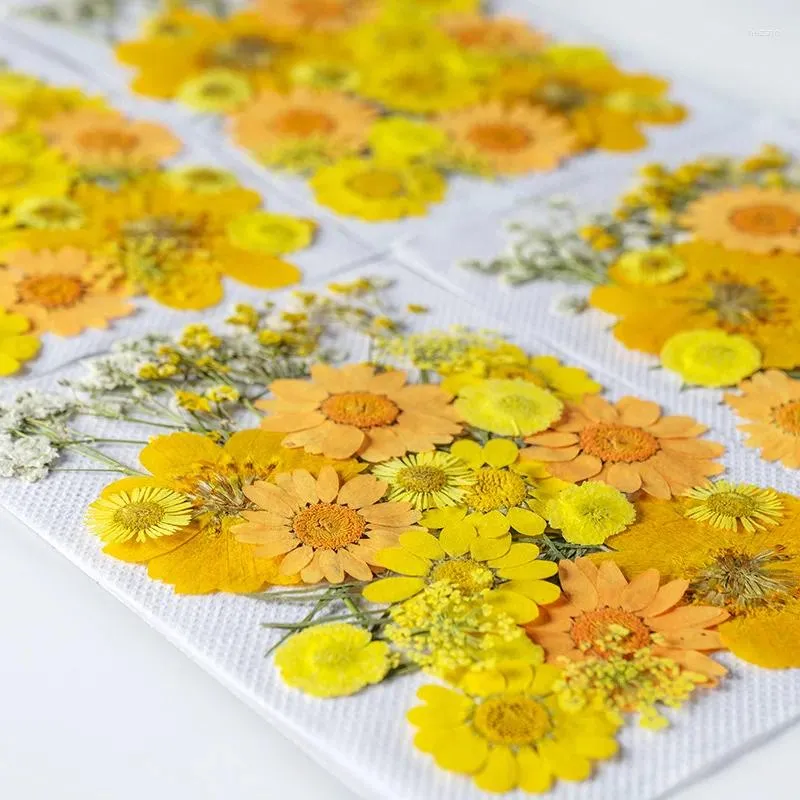Dekorativa blommor torkade UV -hartsblommor Klistermärken Dry Beauty Decal för DIY Epoxy Filling Smyckedekoration Craft Accessor