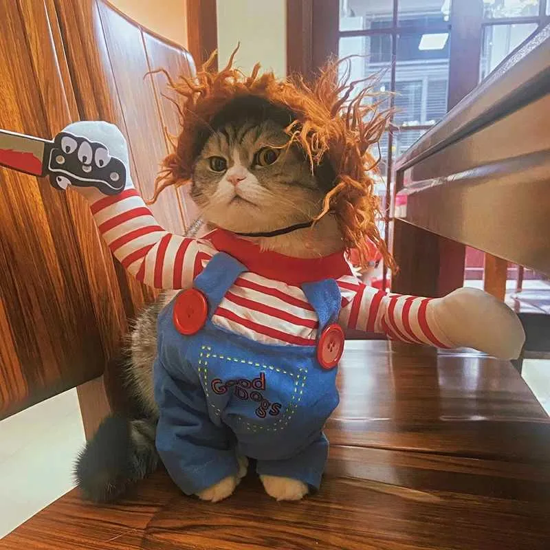 Halloween Cosplay Costume For Small And Medium Dogs Novelty Puppy And Kitty Dress Up Boys Clothes Sale For Chihuahua And Small Cats Funny Pet Outfit H240506 From Xingyun 1 14.08 DHgate.Com