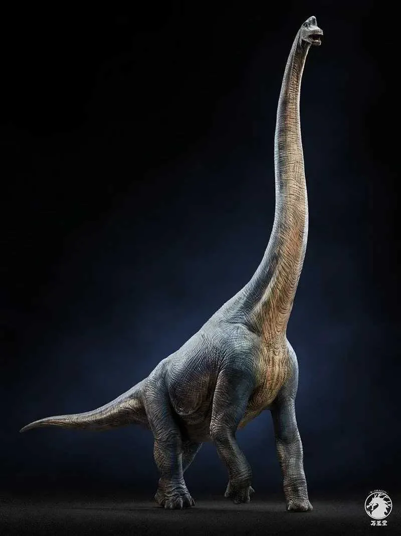 Другие игрушки инвентаризации W-Dragon Brachiosaurus с длинной шеей Dragon Dragon Dinosaur Модель статуи игрушки ручной работы. Новый аутентичный декоративный подарок
