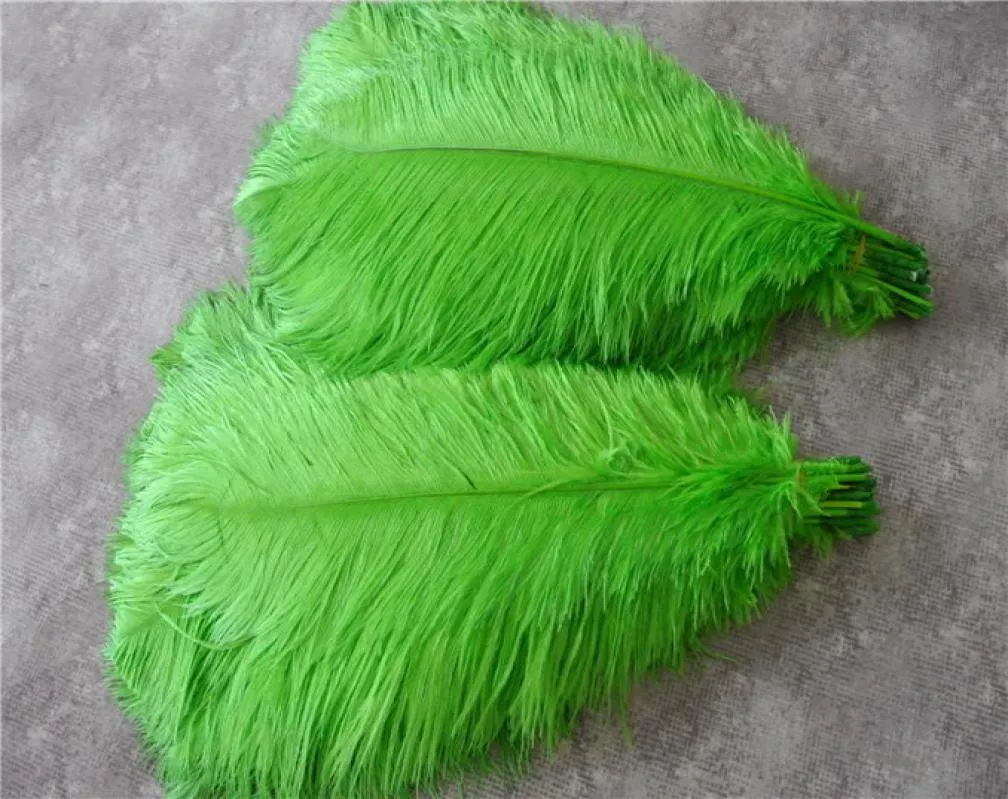 100 pcs entiers 1618 pouces lime vertes autruche plumes plumes pour la pièce maîtresse de mariage décor événementiel décor festif décor1863700