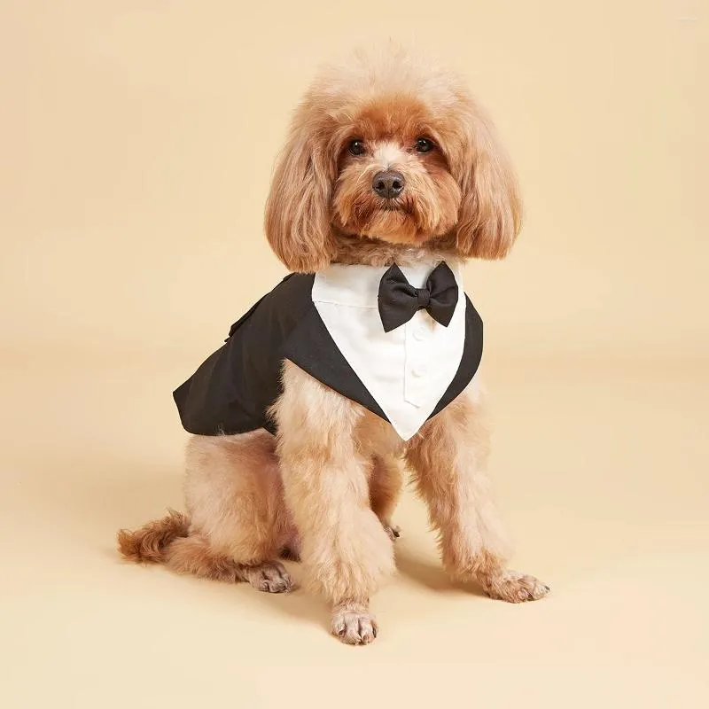 Camicia da sposa abbigliamento per cani Outfit di costume di Halloween con papille di bandana staccabile per piccoli cani mediocri