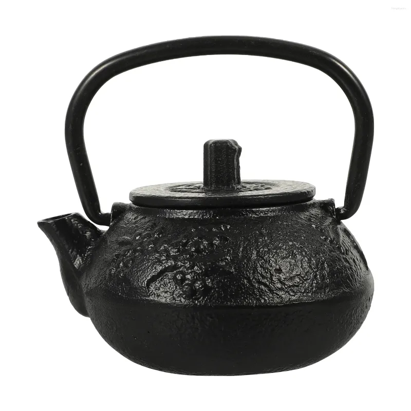 Dijkartikelen Sets Teapot Decor Japanese Iron Cast Set Coffee Chinese pot fornuis Tetsubinloose klein kokend