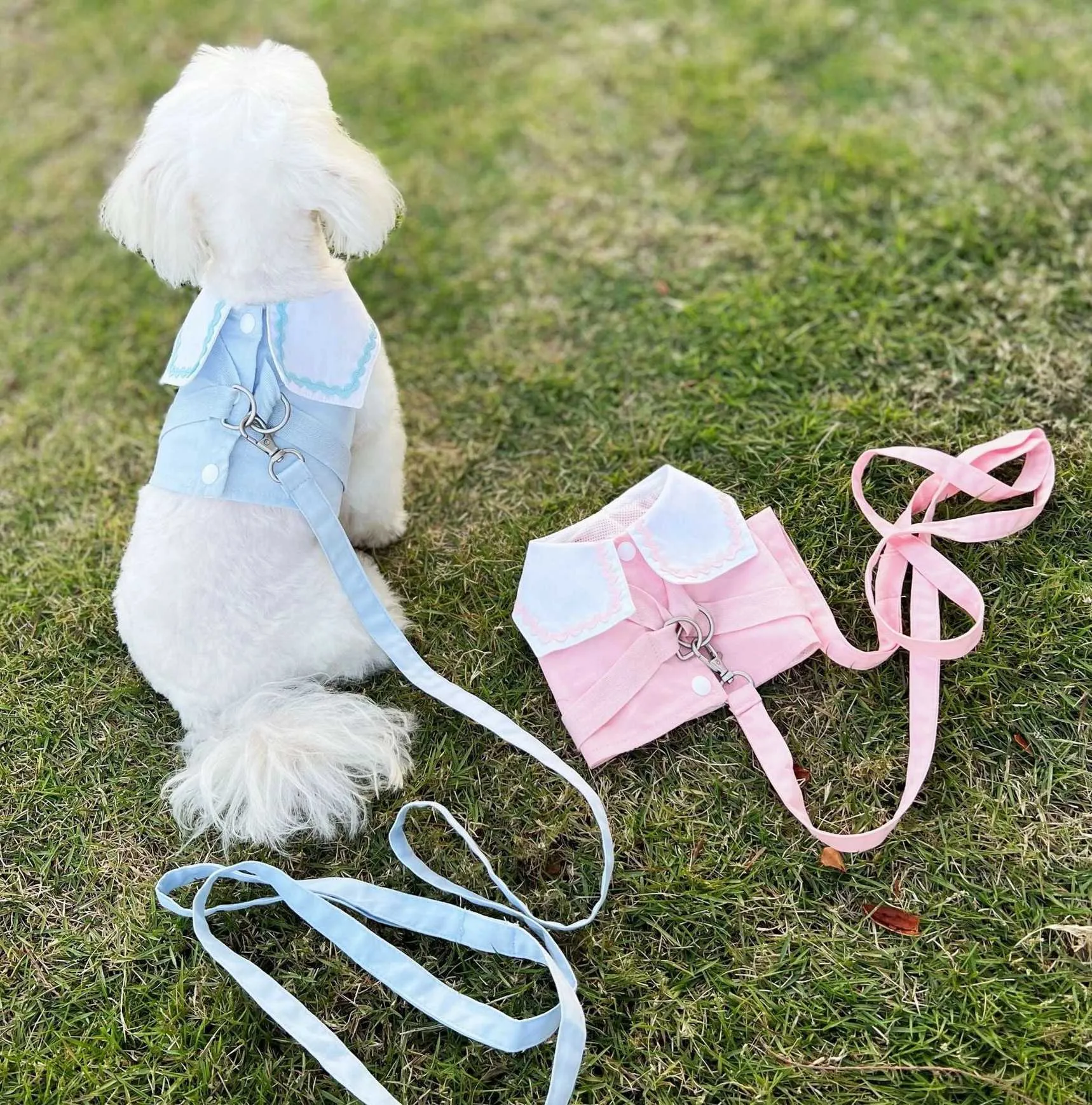 Hundhalsar Leases Spring and Summer Ins Short Chest Back College Shirt Cat Ice Cream Color Breattable Leash rem Söt H240506