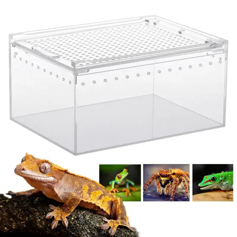 Terrariums reptiel hagedis fokdoos acryl spider hagedis transparante fokdoos ademende tarantula terrarium voor schorpioen mantis