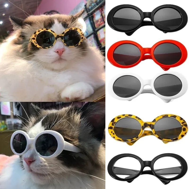 Casas 1pc 4colors Produtos de estimação frios Round Cat Glasses Sunglasses Reflection Eye Wear Glasses para Penas de Pet Cat Small Petos Aderetes Acessórios