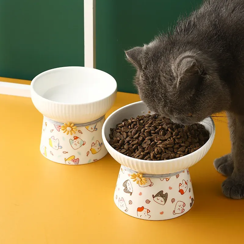 Feeders Ceramiczna miska na żywność dla kota słodkie skośnie podwyższone psa psa napój woda w wodę produkty kocięta posiłki posiłki