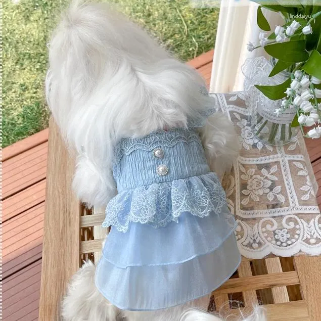 Appareils pour chiens Summer section mince Pet Blue Dream Robe princesse délicate Bichon de dentelle délicate