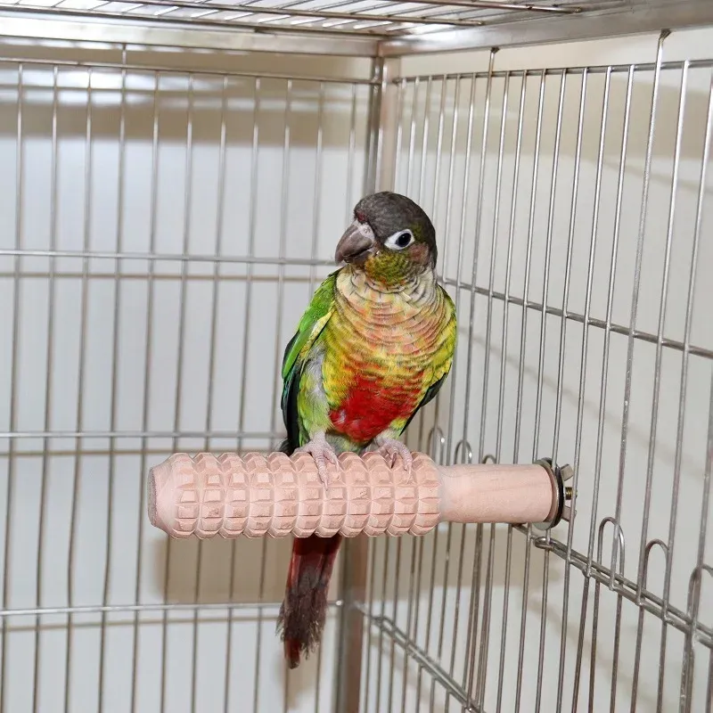 Giocattoli per uccelli bastoncini di legno di legno di legno barrette uccello porta gabbia pappagallo a bastone per uccelli nido ad artiglio barra di astesa ad affiggire