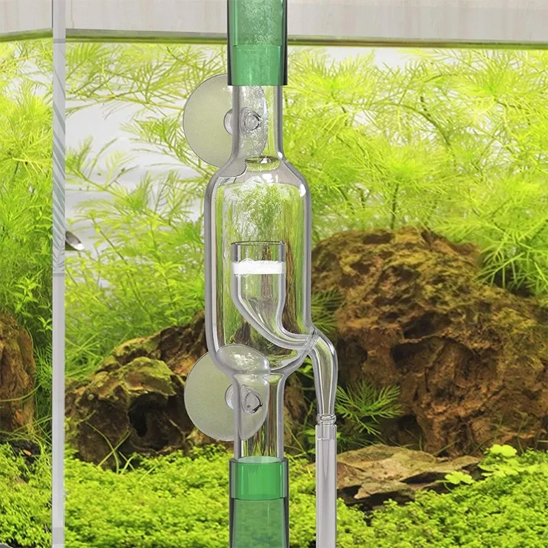 Equipo CO2 Difusor en línea Atomizador de vidrio transparente Alto saturación de tamaños de CO2 2 para tubos de filtro de recipiente