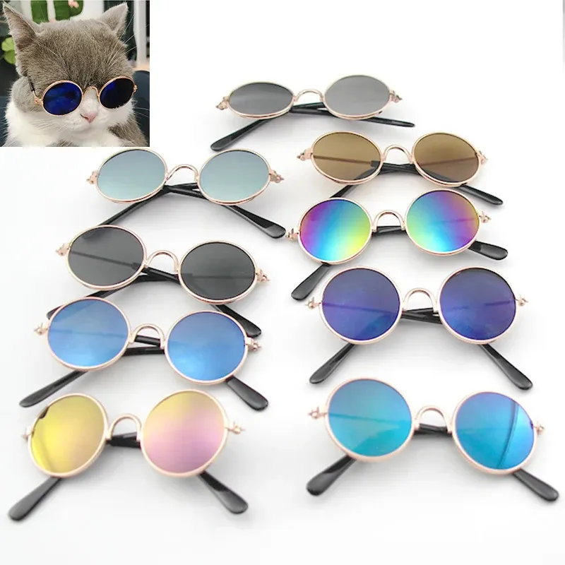 Casas copos de gato de estimação Moda Os óculos de sol Eyewear