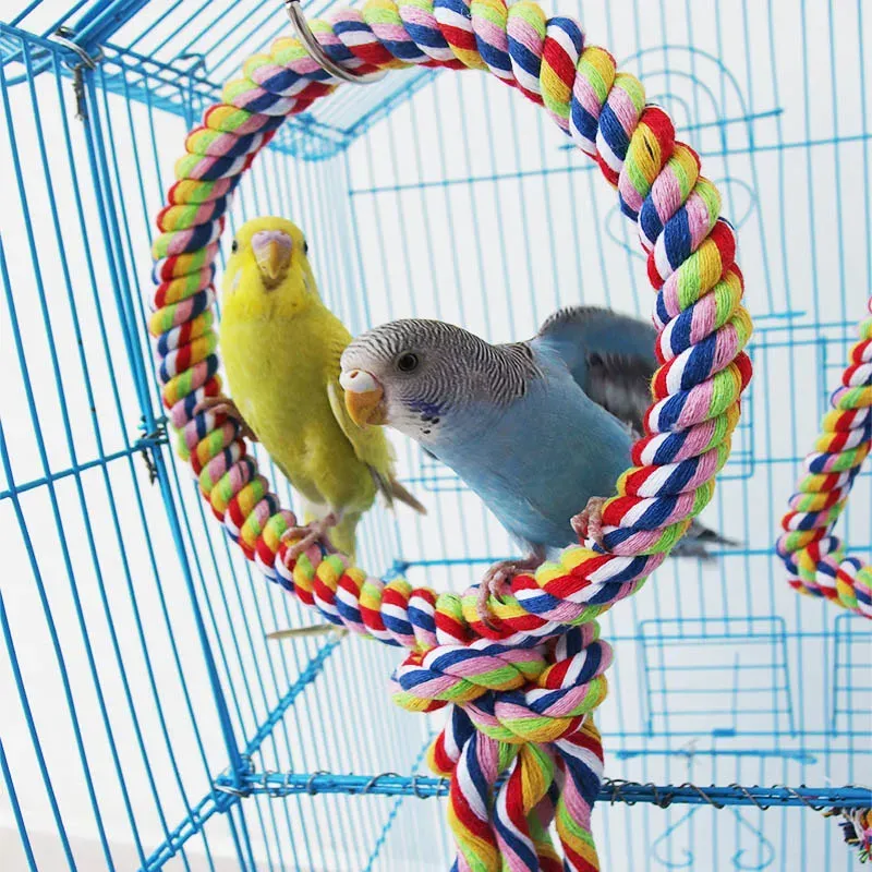 Parrot rope swings sales