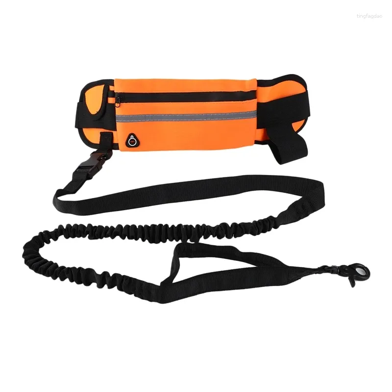 Hondenkragen runnen riem met zipperzakelastische bungees intrekbaar touw voor middelgrote en grote honden taille tas pack dragen alle telefoons