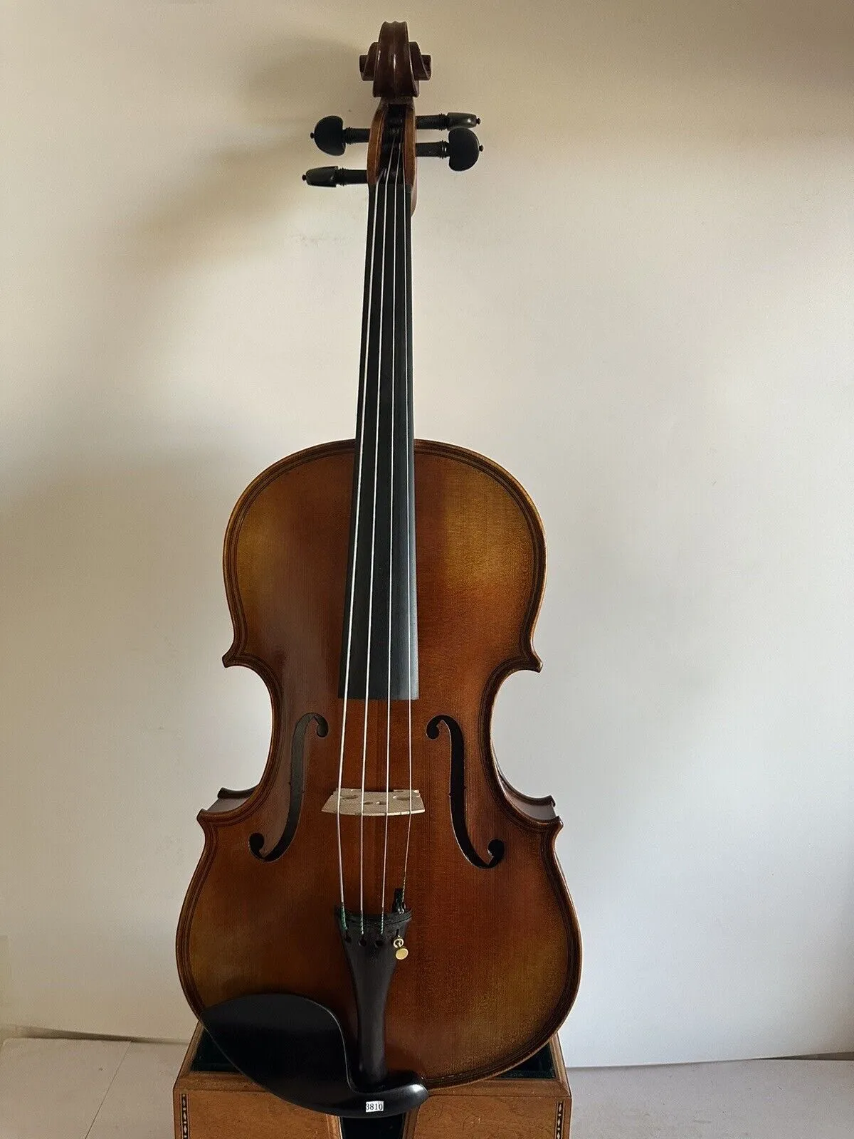 Master 15.5 Model Viola Maggini Famed Maple Back Spruce Gone Ręka rzeźbiona 3810