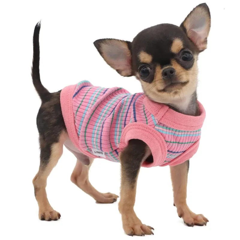 Verte de chien d'été Cat Puppy Apparel Yorkshire Terrier Pomeranian Shih Tzu Maltais Bichon Poodle Schnauzer Clothes T-shirt Pink 240429