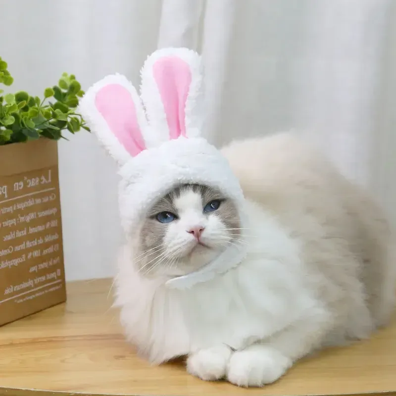 Huizen schattige kattenkap bunny kostuum warme hoed nieuwjaar vakantie feest hoofddekselcosplay rekwisieten hoofddeksel huisdier kitten accessoires benodigdheden