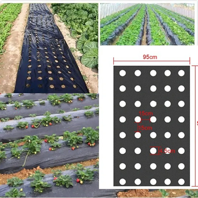 5holes 0,95 * 50m 0,02 mm Jardin noir Greenhouse Vegetables Membrane Agricultural Plants Mulch Seemding Plastic Perfoated PE Film 240506